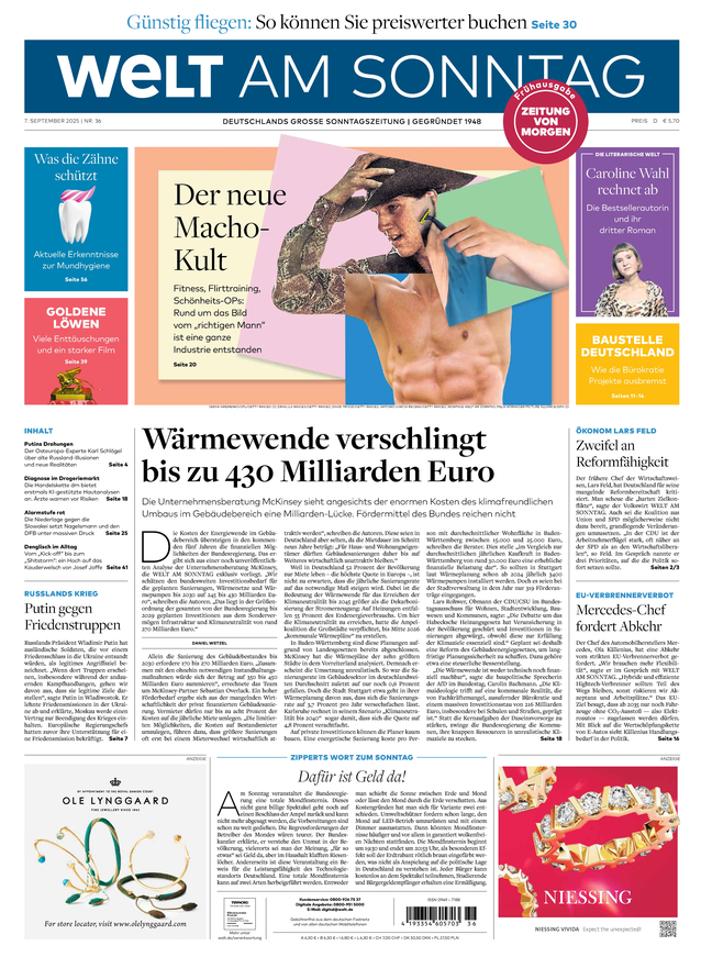 DIE WELT
