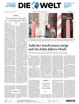 DIE WELT (27.06.2025)