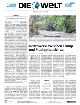 DIE WELT (08.07.2025)